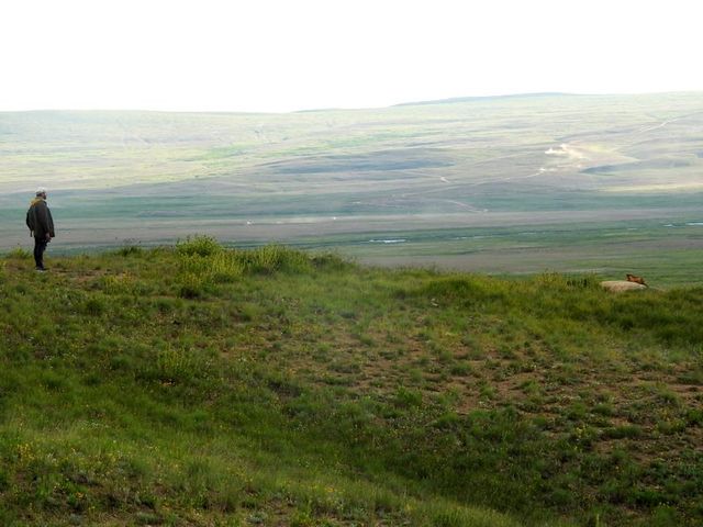 deosai plains
