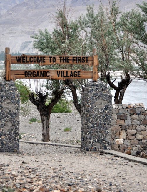 Organic-village-Skardu