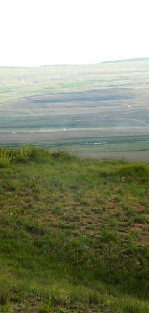 deosai plains